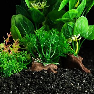 Растение искусственное аквариумное Пижон Аква, на платформе в виде коряги, зелёное, 18 см