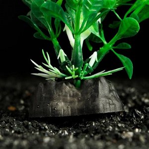 Растение искусственное аквариумное Пижон Аква, зелёное, 4 х 20 см