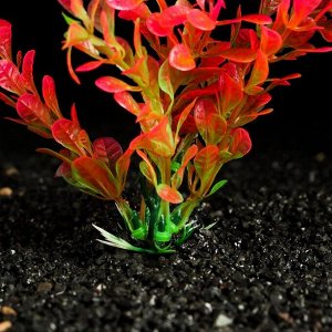 Растение искусственное аквариумное, 4 х 20 см, розово-оранжевое
