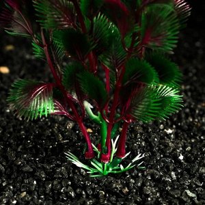 Растение искусственное аквариумное, 4 х 20 см, розово-зелёное