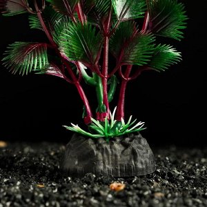 Растение искусственное аквариумное, 4 х 20 см, розово-зелёное