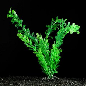 Растение искусственное аквариумное, 4 х 30 см, зелёное