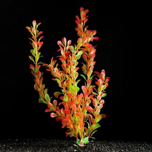 Растение искусственное аквариумное, 4 х 30 см, красно-зелёное