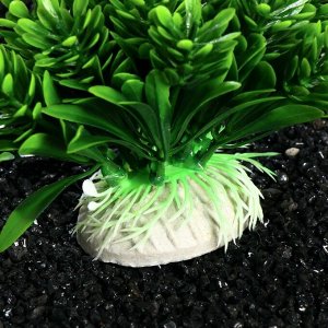 Растение искусственное аквариумное, 7 х 8 см