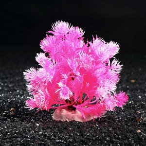 Растение искусственное аквариумное Пижон Аква, микс цветов, 12 см