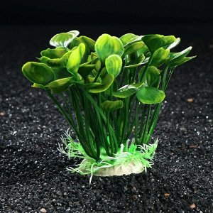 Растение искусственное аквариумное, 14 см
