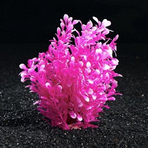 Растение искусственное аквариумное, 19 см