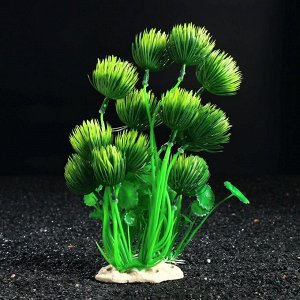 Композиция с растениями искусственными для аквариума, 25 см