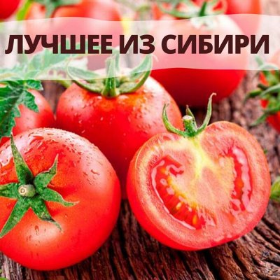 Семена Алтая. Семена овощей, Семена однолетние