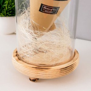 Фигурка светящаяся колба RISALUX «Белая роза в букете», LED-ночник, 3xААА, 10x10x21 см