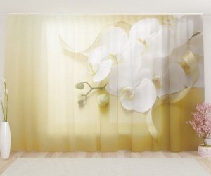 Фототюль Белая орхидея на желтом