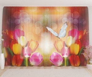 Фототюль Тюльпаны с бабочкой