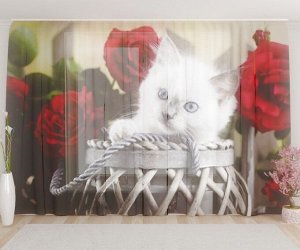 Фототюль Котёнок с розами