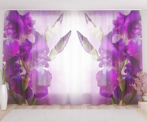 Фототюль Фиолетовый цветок в росе