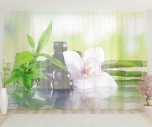 Фототюль Белая орхидея на бамбуке