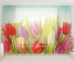Фототюль Солнечные тюльпаны