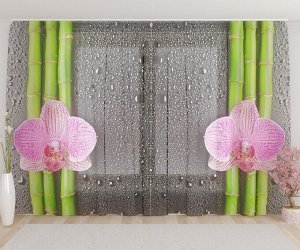 Фототюль Мягкая розовая орхидея с росой