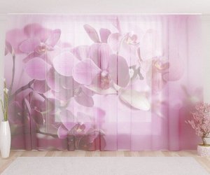 Фототюль Розовые лепестки орхидеи
