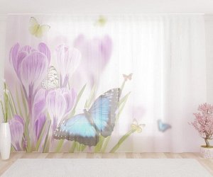 Фототюль Бабочки на ранних тюльпанах