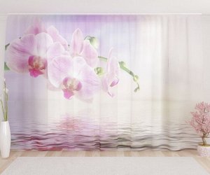 Фототюль Розовая орхидея у воды