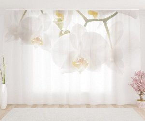 Фототюль Белые орхидеи