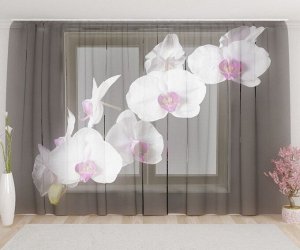 Фототюль Белые орхидеи в ночи