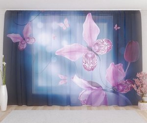 Фототюль Фиолетовые бабочки в сумраке
