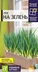 Лук на Зелень/Сем Алт/цп 0,5 гр. УРОЖАЙ НА ОКНЕ
