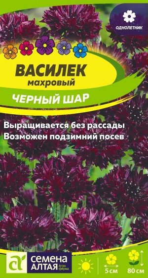 Василек Черный шар махровый/Сем Алт/цп 0,5 гр.