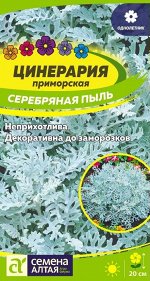 Цветы Цинерария Серебряная Пыль/Сем Алт/цп 0,1 гр.