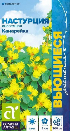 Цветы Настурция Иноземная канарейка вьющ./Сем Алт/цп 0,7 гр. Вьющиеся растения