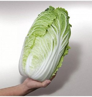 Вкус восточный Пекинская капуста