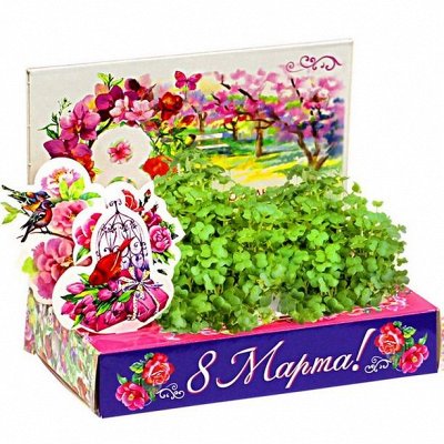 Новые идеи для подарков к 23 февраля и 8 марта