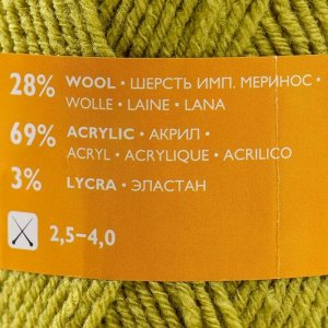 Пряжа Lastik (Ластик) 28% имп.меринос.шерсть,69% акрил,3% эластан 365м/100гр(70345 липа_v)