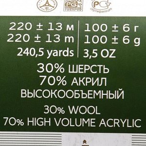 Пряжа "Народная" 30% шерсть, 70% акрил объёмный 220м/100гр (43-Суровый лен)