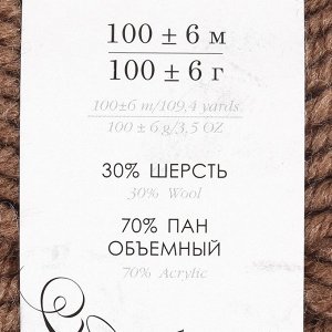 Пряжа "Народная традиция" 30% шерсть 70% акрил 100м/100гр (377 кофейный)