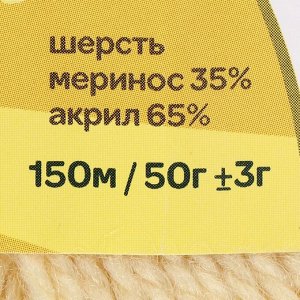 Пряжа "Бамбино" 35% шерсть меринос, 65% акрил 150м/50гр (031, шамп) МИКС