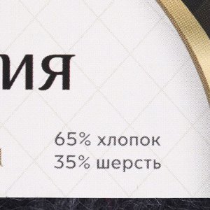 Пряжа "Астория" 65% хлопок, 35% шерсть 180м/50гр (137 маренго)