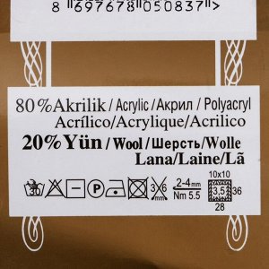 Пряжа "Angora Gold" 20% шерсть, 80% акрил 550м/100гр (208)
