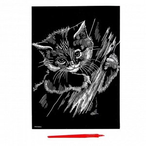 Гравюра «Котёнок» с металлическим эффектом «радуга» А4