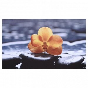 Картина на холсте "Орхидея на камнях" 60х100 см