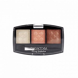 Палетка теней для макияжа век #304 (1шт) CARACOSA SHINING EYE SHADOW #304 (1ea)