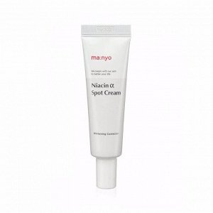 MANYO FACTORY NIACIN ALPHA SPOT CREAM (20ml)