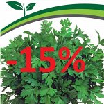 Пряная зелень, салаты -15%