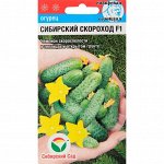 Семена Огурец &quot;Сибирский скороход&quot; F1, ультраскороспелый, партенокарпический, 7 шт