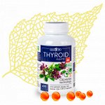 Для ЩИТОВИДНОЙ ЖЕЛЕЗЫ: Матриксный масляной экстракт THYROIDnorm (ТИРОИДнорм), ТМ &quot;AKTIVE LIFE&quot;