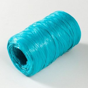 Пряжа "Для вязания мочалок" 100% полипропилен 400м/100±10 гр в форме цилиндра (бирюза)