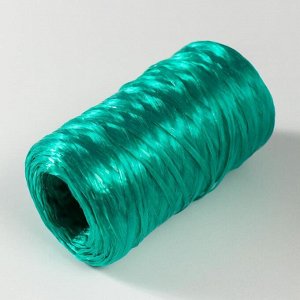 Пряжа "Для вязания мочалок" 100% полипропилен 400м/100±10 гр (изумрудный)