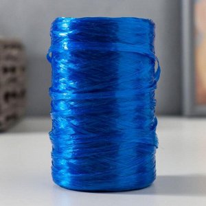 Пряжа "Для вязания мочалок" 100% полипропилен 400м/100±10 гр в форме цилиндра (синий перлам)