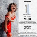 Пробник w163